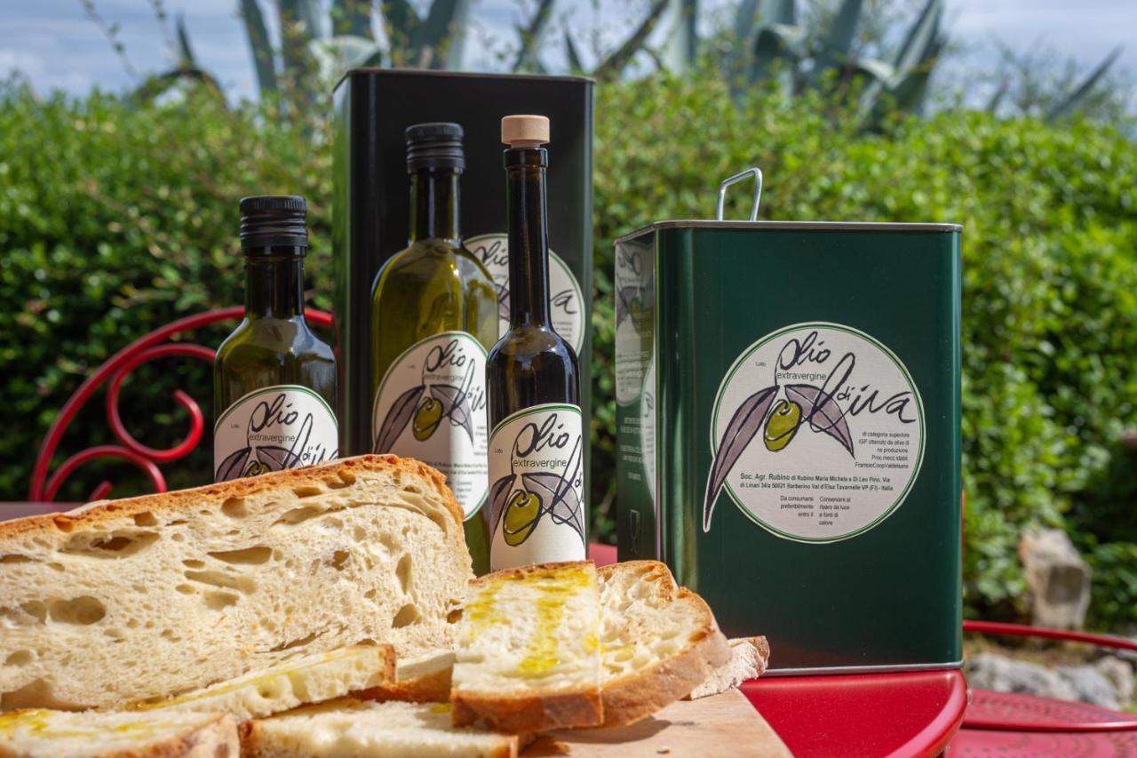 Agriturismo Podere Sertofano Barberino di Val dʼElsa Dış mekan fotoğraf