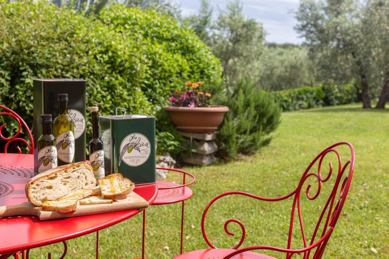 Agriturismo Podere Sertofano Barberino di Val dʼElsa Dış mekan fotoğraf